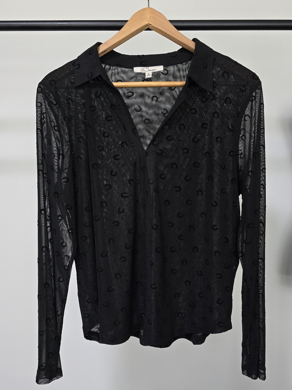 Les Serein Sheer Collared Button-Down Blouse in Black